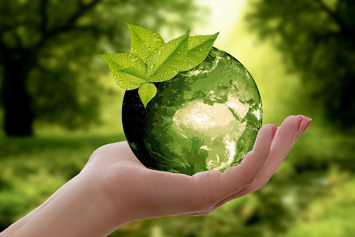 Trong năm 2024, yêu cầu về bảo vệ môi trường có thể sẽ tăng cao do các thỏa thuận quốc tế